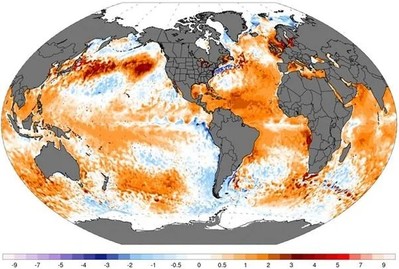 Ghi nhận 14 tháng liên tiếp nhiệt độ nước đại dương cao kỷ lục