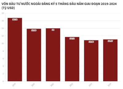 Trong 5 tháng đầu năm, Bà Rịa - Vũng Tàu dẫn đầu cả nước về thu hút FDI với vốn tăng gấp 12 lần
