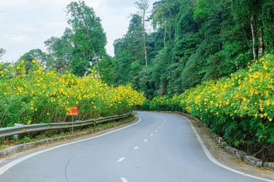 Hà Nội sẽ cải tạo gần 9 km tuyến đường đi Vườn quốc gia Ba Vì