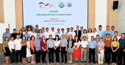 Hội thảo “Giới thiệu kiến thức về carbon rừng”