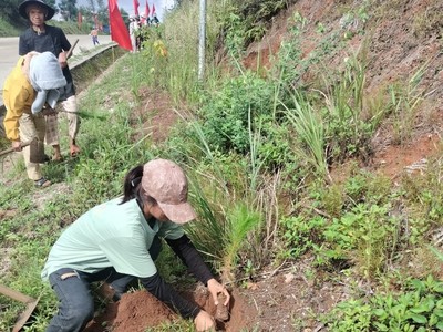 Kon Tum: Học sinh người Xơ Đăng ở Tu Mơ Rông tham gia trồng cây xanh