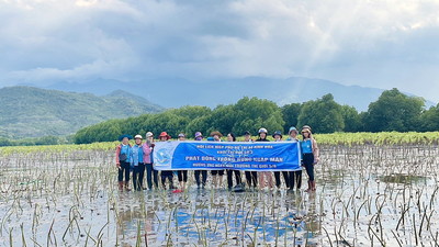 Khánh Hoà: Trồng mới 10.000 cây đước tại đầm Nha Phu, thị xã Ninh Hoà
