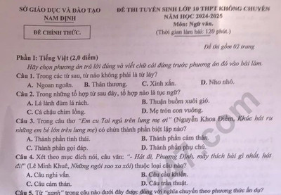 Đáp án đề thi vào lớp 10 môn Văn - Nam Định năm 2024