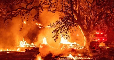 Mỹ: Hơn 52.000 người tử vong trong thập kỷ qua do ô nhiễm cháy rừng ở California