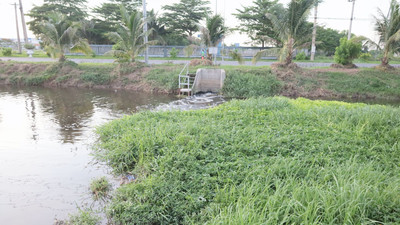 Tây Ninh: Khu công nghiệp Thành Thành Công cam kết không xả thải chưa xử lý ra môi trường