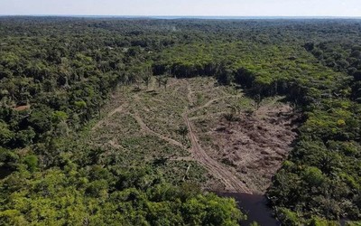 Lâm tặc gian lận tín chỉ Carbon tại Amazon