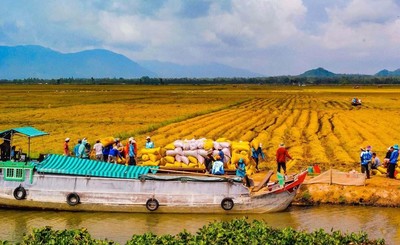 Phát triển bền vững vùng Đồng bằng sông Cửu long: Khoa học và công nghệ là nền tảng