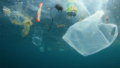 Vi nhựa nên trở thành một tham số trong đánh giá môi trường
