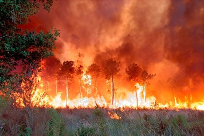 Trung Quốc: Mưa nhân tạo giúp dập tắt đám cháy rừng