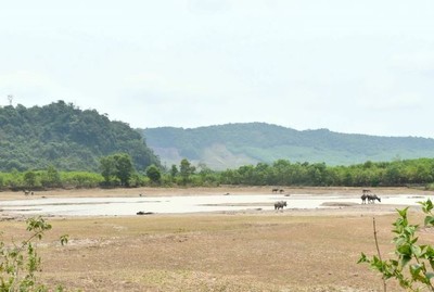 Quảng Bình: Một số nơi ở miền núi và ven biển thiếu nước sinh hoạt trầm trọng
