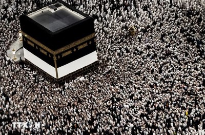 Hơn 900 người tử vong trong lễ hành hương Hajj do nắng nóng