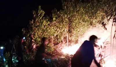 Hà Tĩnh: Cháy rừng trong đêm, hàng trăm người tham gia dập lửa