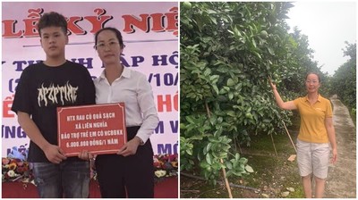 Hưng Yên: Hợp tác xã điểm của tỉnh về sản xuất rau, củ, quả sạch