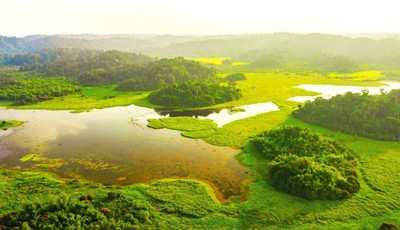 Cát Tiên là Vườn quốc gia đầu tiên của Việt Nam đạt danh hiệu Danh lục Xanh