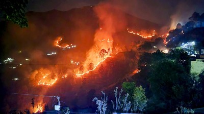 Ấn Độ chìm trong khủng hoảng cháy rừng vì nắng nóng