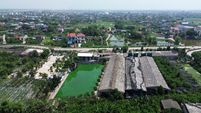 Thái Bình: Vấn nạn ô nhiễm môi trường đang cản trở phát triển Làng vườn du lịch sinh thái cộng đồng