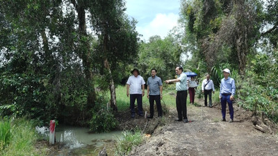 Phó Chủ tịch UBND tỉnh Long An khảo sát Khu công nghiệp Lộc Giang