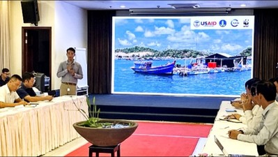 Kiên Giang: Chung tay bảo tồn hệ sinh thái biển Phú Quốc