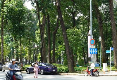 Cuối tuần này, đường Phạm Ngọc Thạch, quận 1 sẽ tạm cấm xe lưu thông