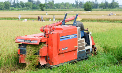 Nghiên cứu đánh giá tác động kinh tế của biến đổi khí hậu đến đồng bằng sông Cửu Long