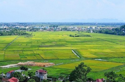 Hoà Bình: Hơn 32ha đất lúa được chuyển mục đích sang làm khu công nghiệp