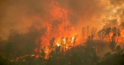 Mỹ: Cháy rừng ở California bùng phát do thời tiết nóng và khô