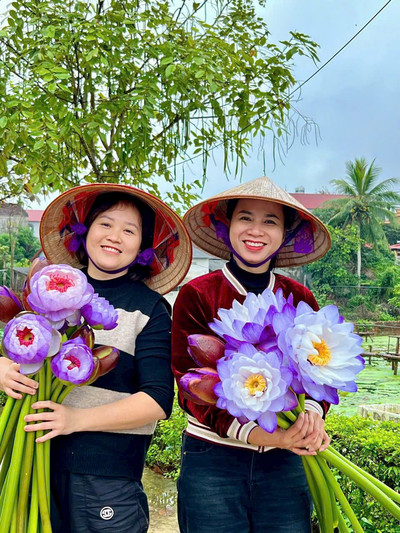 Dân mạng sành điệu lùng sục tìm mua loài hoa nửa nọ nửa kia tại Bắc Giang