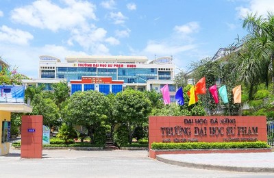 Đại học Sư phạm - ĐH Đà Nẵng thông báo điểm chuẩn trúng tuyển 2024