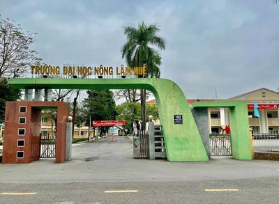 Điểm chuẩn Đại học Nông Lâm - ĐH Huế năm 2024