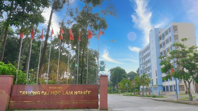 Điểm chuẩn Đại học Lâm nghiệp tại Đồng Nai 2024