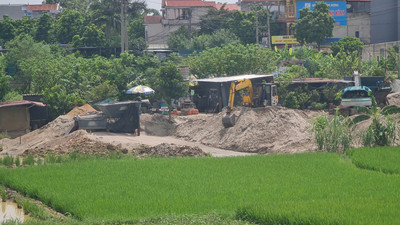 Sóc Sơn: Cần xử lý nghiêm bến bãi không phép tại thôn Phú Tàng