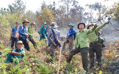 Yên Bái cần ngăn chặn cháy rừng từ đốt nương tự phát