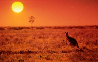 Ghi nhận ngày mùa Đông nóng kỷ lục tại Australia