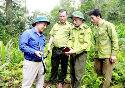 Quản lý, bảo vệ rừng trên không gian số