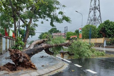 Khi nào siêu bão Yagi đổ bộ đất liền?