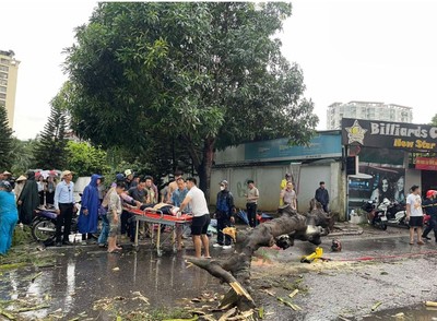 Hà Nội mưa giông lớn, cây đổ ngổn ngang khiến 2 người thương vong