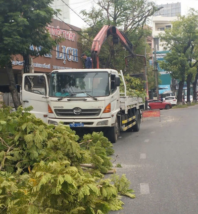 Chủ động phòng chống mưa bão: Huế cắt tỉa cây xanh bảo vệ đô thị