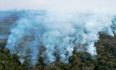 Brazil: Cảnh báo nguy cơ mất vùng đầm lầy lớn nhất thế giới Pantanal