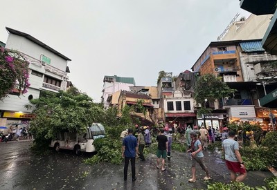 Hà Nội: 226 cây xanh đổ gãy, 7 người thương vong trước cơn bão số 3