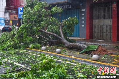 Trung Quốc: Siêu bão Yagi đổ bộ, hàng triệu người bị ảnh hưởng