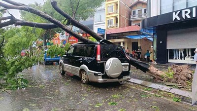 Bão YAGI đã suy yếu nhanh, khẩn trương khắc phục hậu quả