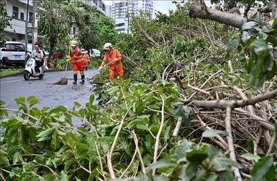 Yagi là siêu bão mùa thu mạnh nhất tại Trung Quốc trong 75 năm qua