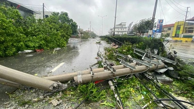 Khắc phục lưới điện không hiệu quả, Giám đốc Điện lực Hạ Long bị đình chỉ