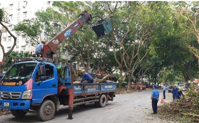 Sở GTVT Hà Nội huy động toàn lực lượng tham gia tổng vệ sinh sau bão số 3