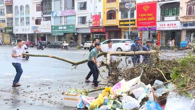 Quảng Ninh từng bước khôi phục lại sản xuất và đời sống nhân dân sau bão