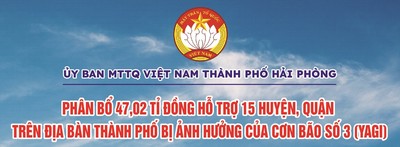 Hải Phòng: Phân bổ kinh phí hỗ trợ khắc phục hậu quả bão số 3 (Yagi)