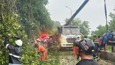 Nghệ An: Cây gãy đổ đè trúng 2 cha con đi xe máy trên quốc lộ