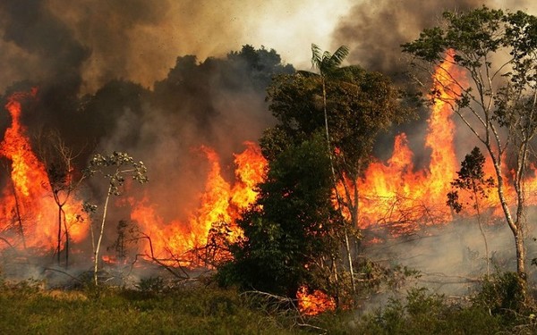 Cháy rừng khủng khiếp ở Siberia Lớn hơn tất cả các đám cháy rừng trên thế  giới cộng lại  Lập kỷ lục tồi tệ