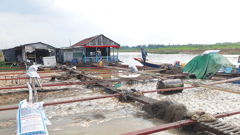 Sông Đồng Nai ô nhiễm vượt quy chuẩn