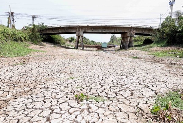 Hình ảnh kênh mương nứt nẻ, cây trồng khô héo ở Tiền Giang
